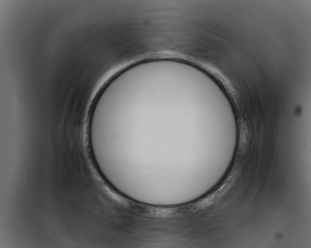 X0000100771278200806190924