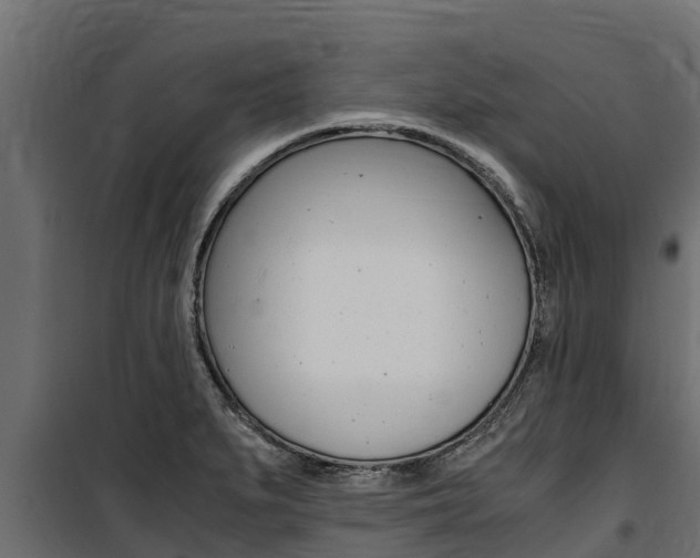 X0000100771279200806190924