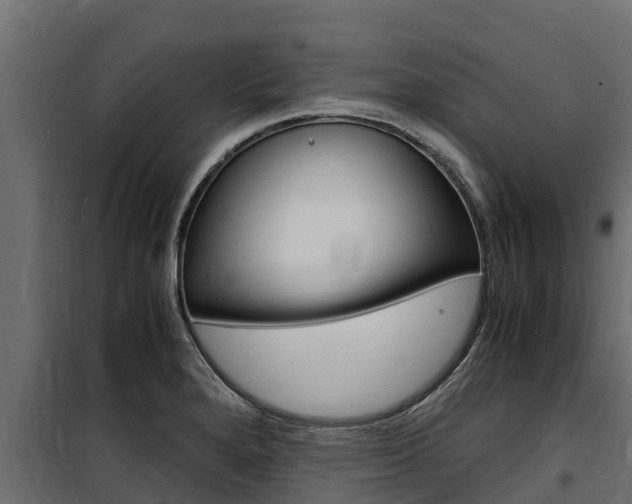 X0000100771280200806190924