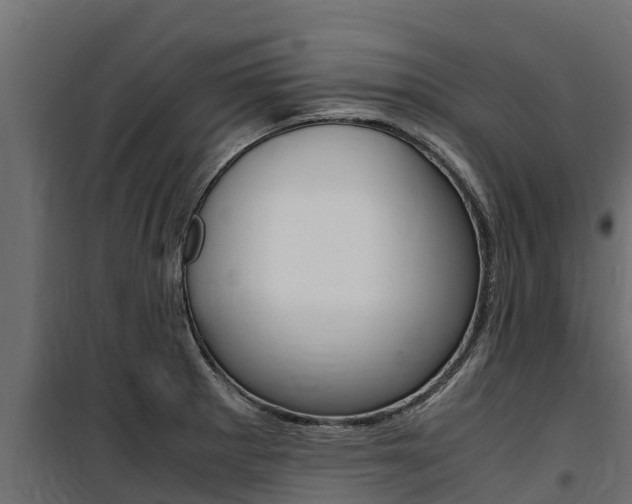 X0000100771281200806190924