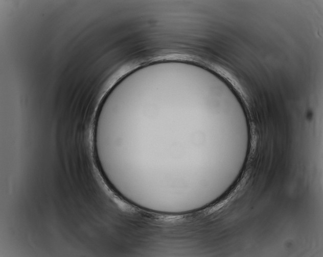 X0000100771282200806190924