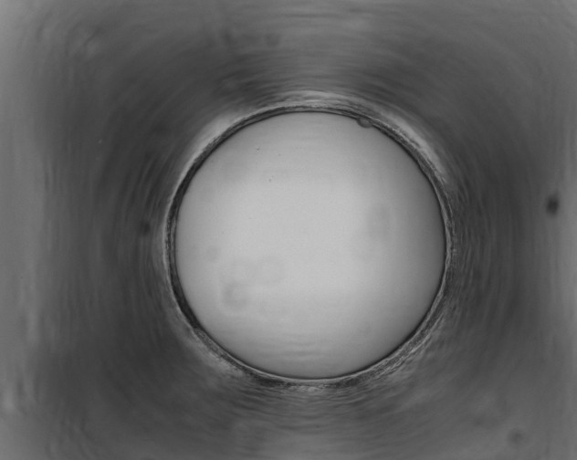 X0000100771283200806190924