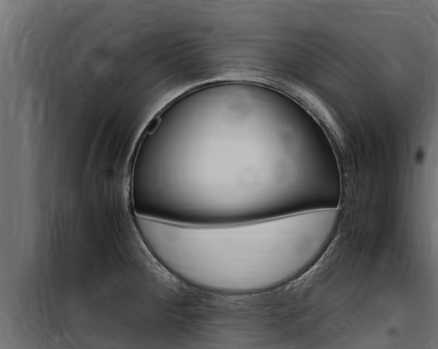 X0000100771284200806190924