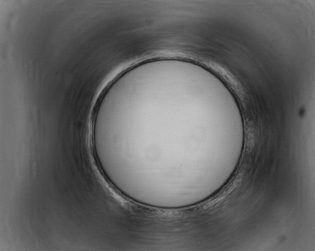 X0000100771286200806190924