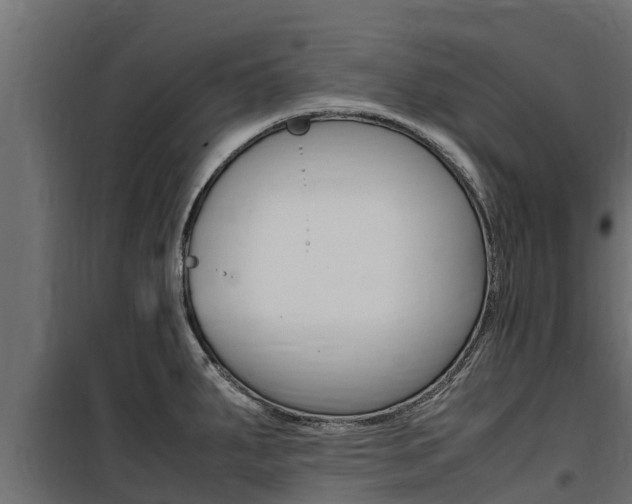 X0000100771287200806190924