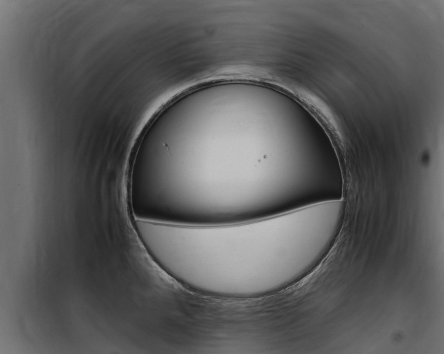 X0000100771288200806190924