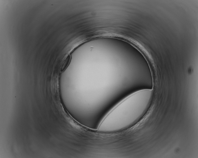 X0000100771289200806190924