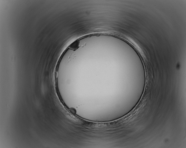 X0000100771291200806190924