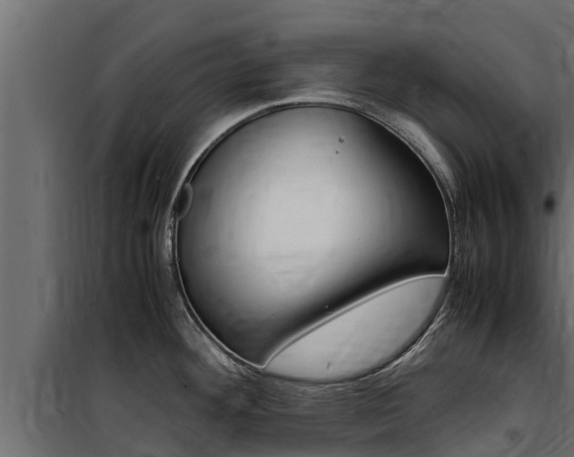 X0000100771292200806190924