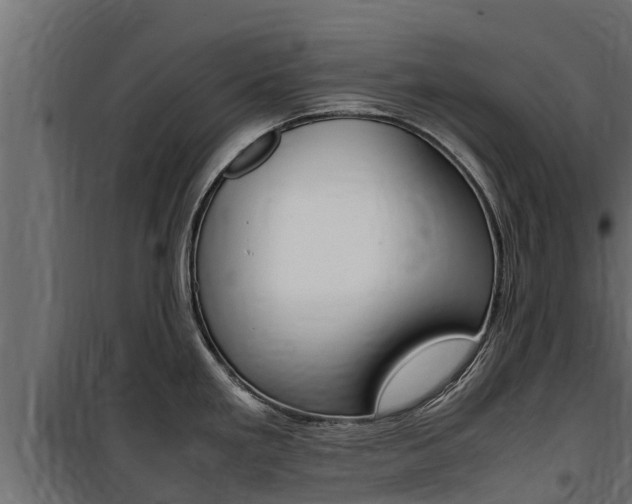 X0000100771293200806190924