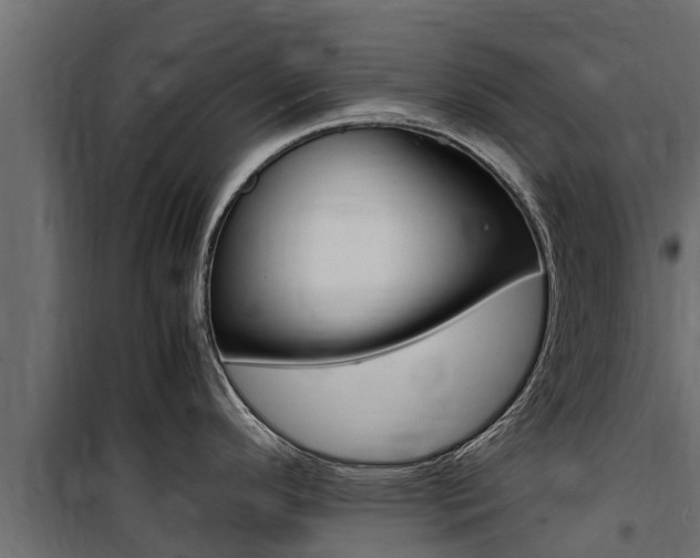 X0000100771296200806190924
