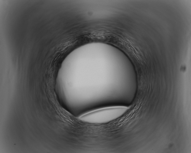 X0000100771297200806190923