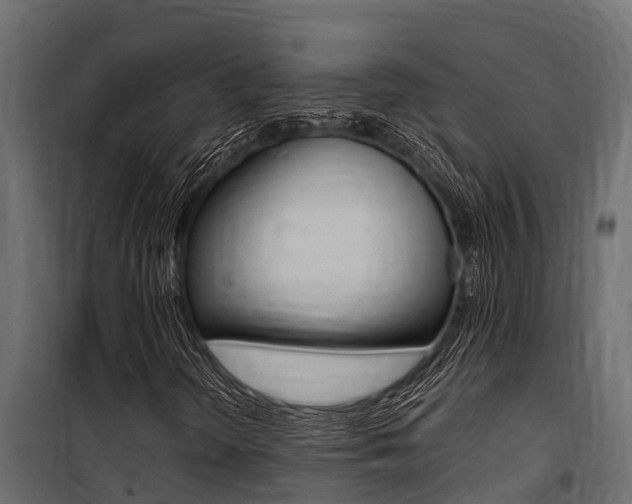 X0000100771298200806190923