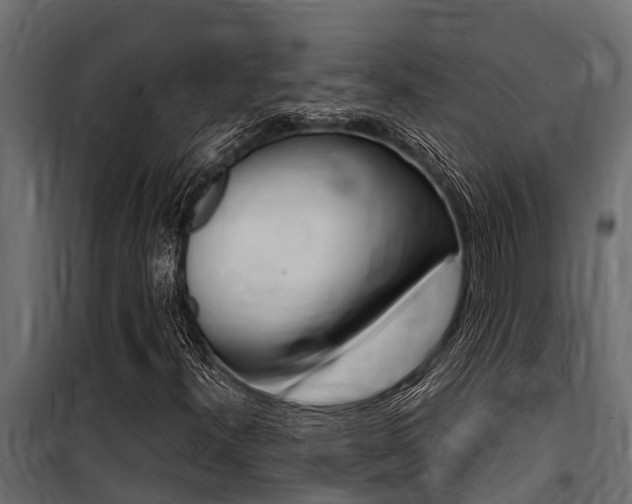X0000100771300200806190923