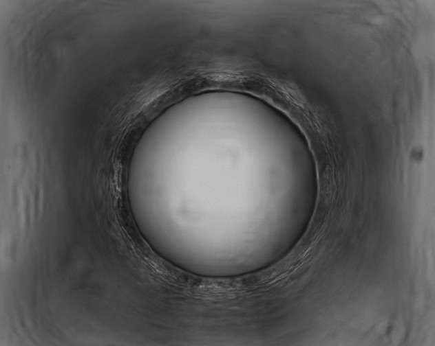 X0000100771301200806190923