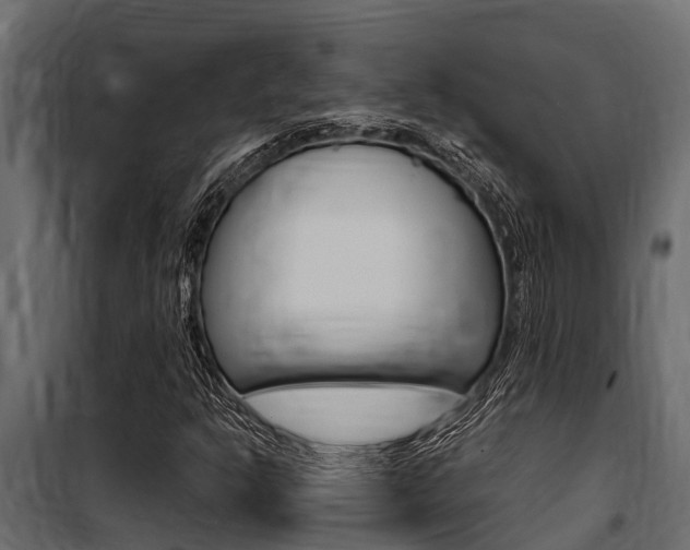 X0000100771302200806190923