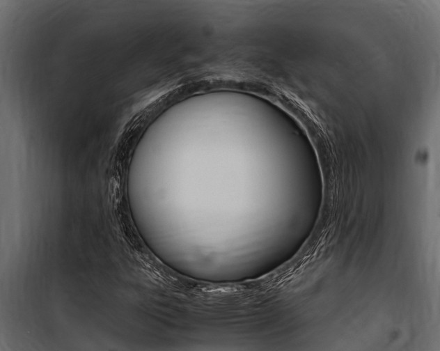 X0000100771303200806190923