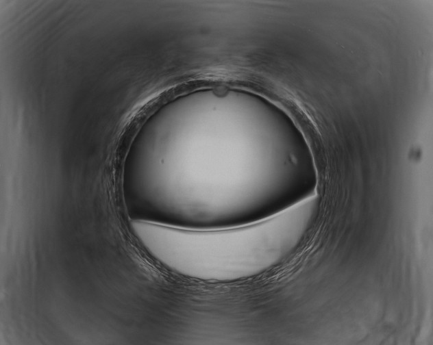 X0000100771304200806190923