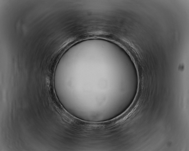 X0000100771305200806190923