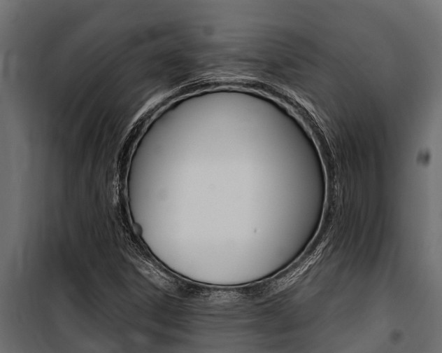 X0000100771306200806190923