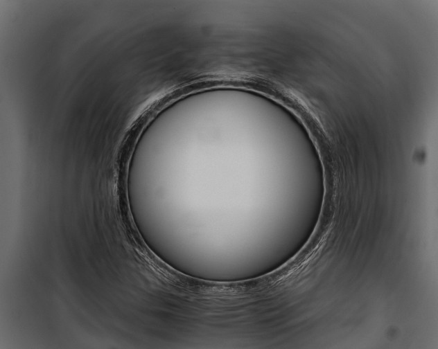 X0000100771307200806190923