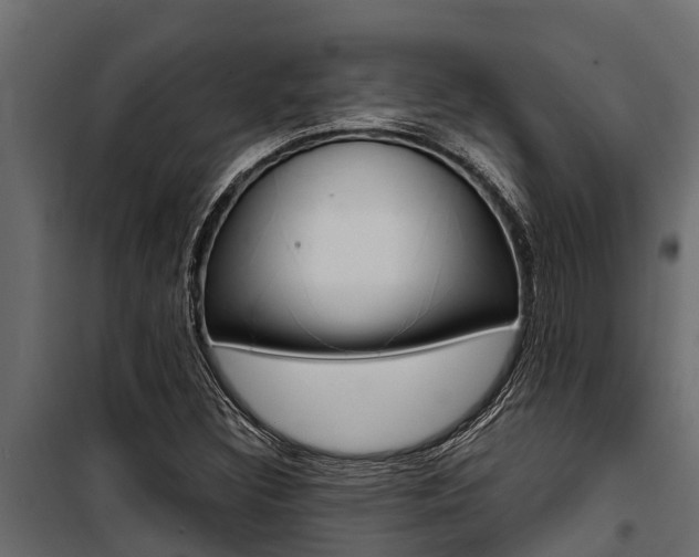 X0000100771308200806190923