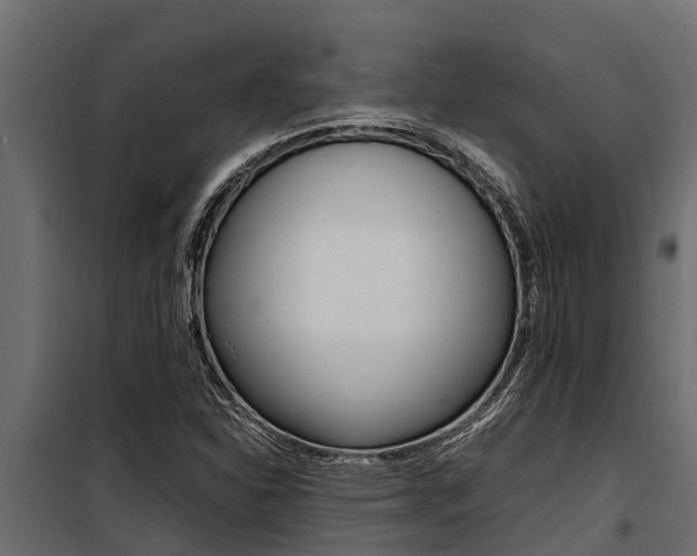 X0000100771310200806190923