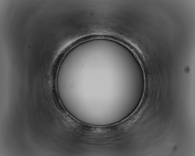 X0000100771311200806190923