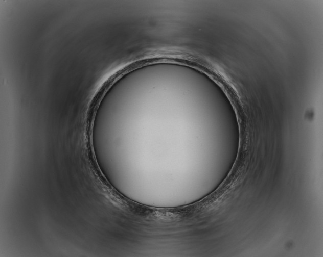 X0000100771312200806190924
