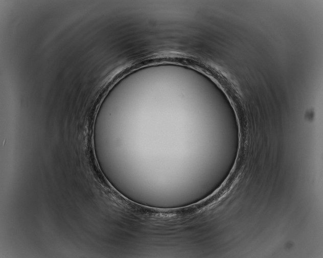 X0000100771313200806190924