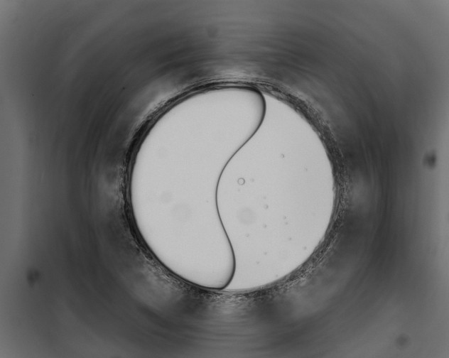 X0000100771314200806190924
