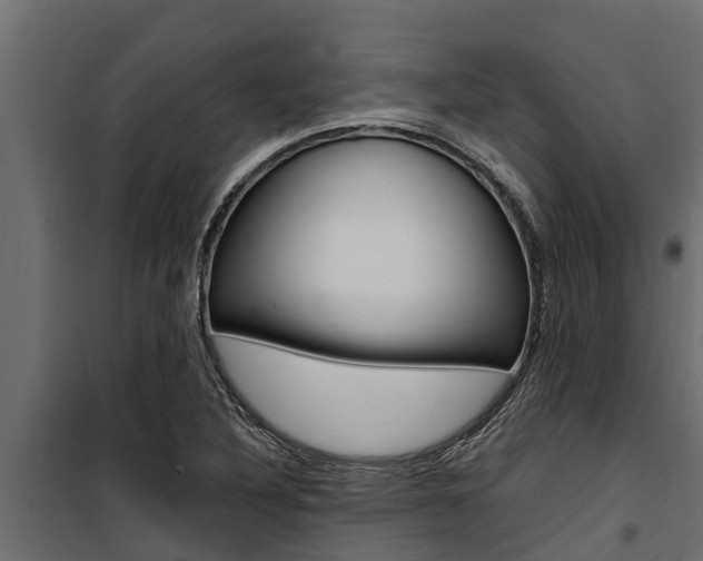 X0000100771316200806190924