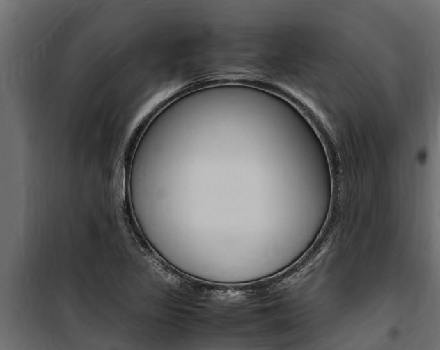 X0000100771317200806190924