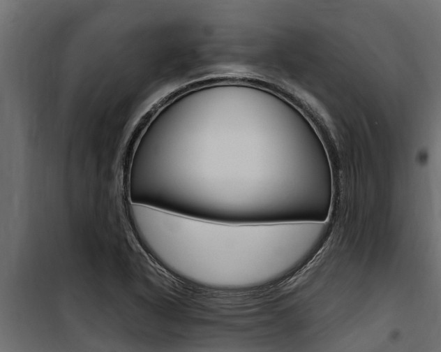 X0000100771318200806190924
