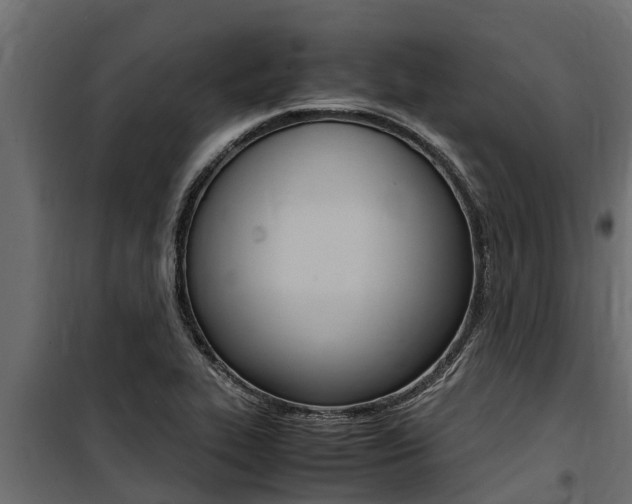 X0000100771319200806190924