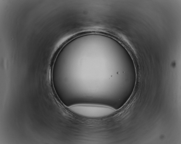 X0000100771320200806190924