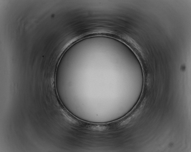 X0000100771321200806190924