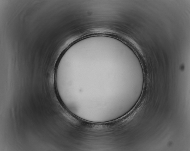 X0000100771322200806190924
