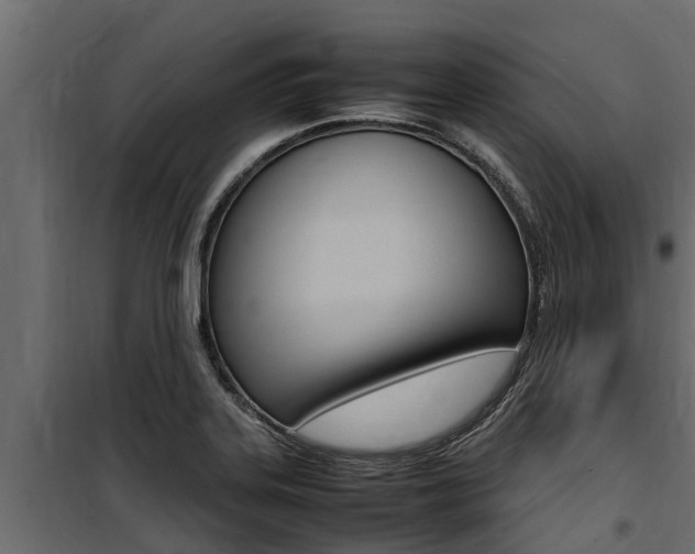 X0000100771323200806190924