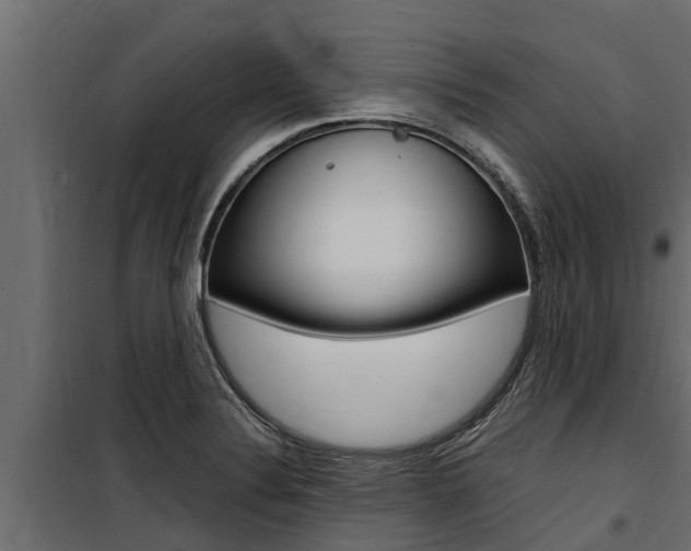 X0000100771324200806190924