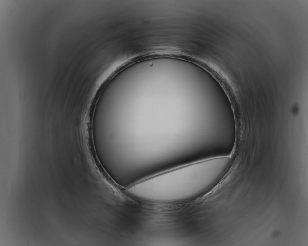 X0000100771325200806190924
