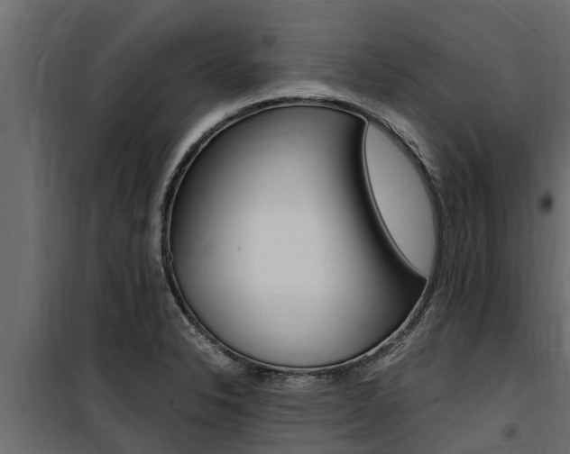 X0000100771326200806190924