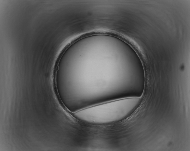X0000100771327200806190924