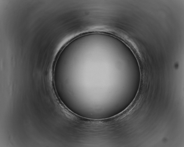 X0000100771328200806190924