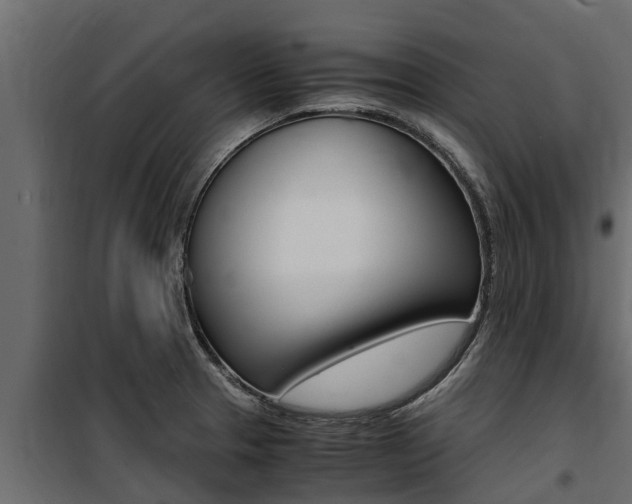 X0000100771329200806190924