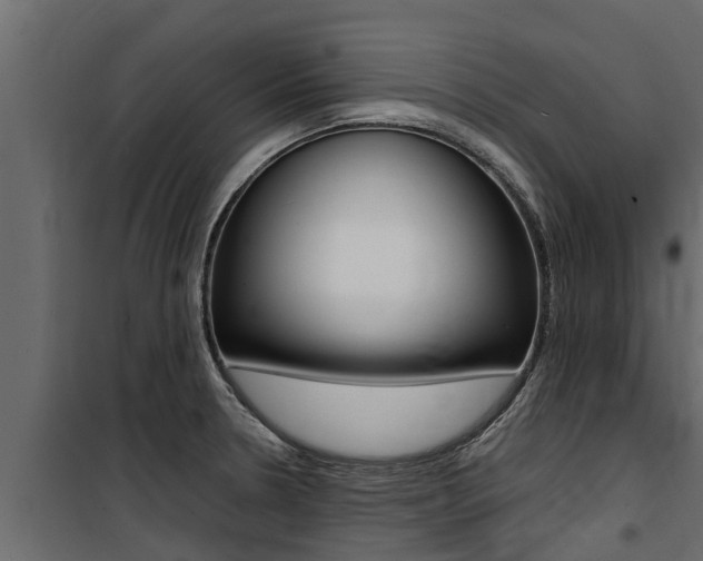 X0000100771330200806190924