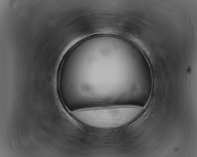 X0000100771331200806190924
