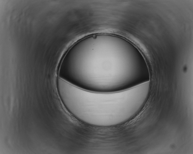 X0000100771332200806190924