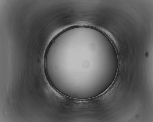 X0000100771335200806190924