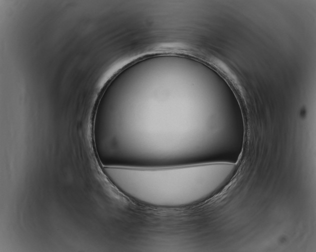 X0000100771336200806190924